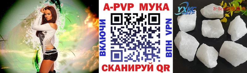 мориарти телеграм  Камень-на-Оби  A-PVP СК 