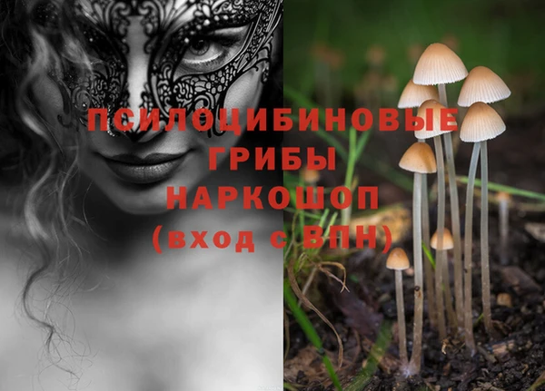 спиды Заводоуковск