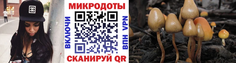 Псилоцибиновые грибы Magic Shrooms Камень-на-Оби