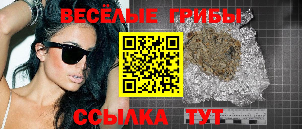 Псилоцибиновые грибы Psilocybe Камень-на-Оби