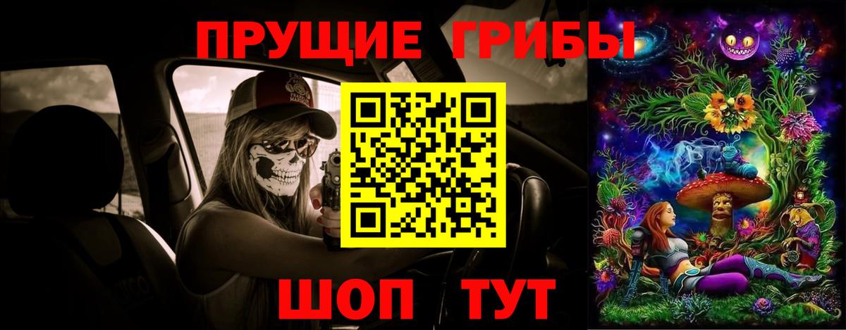 магазин продажи   Псилоцибиновые грибы Magic Shrooms  Камень-на-Оби  Вход с VPN  Псилоцибиновые грибы прущие грибы 